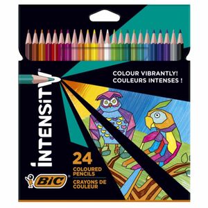 Lápices de 24 colores Intensity Bic
