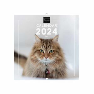 Calendario pared 2024 internacional Cats Finocam