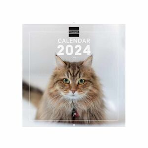 Calendario pared 2024 internacional Cats Finocam