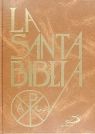 SANTA BIBLIA (GRANDE CARTONE)/PAULINAS
