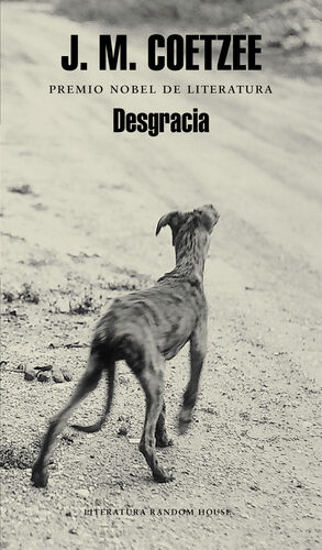 DESGRACIA  (TD-2009)